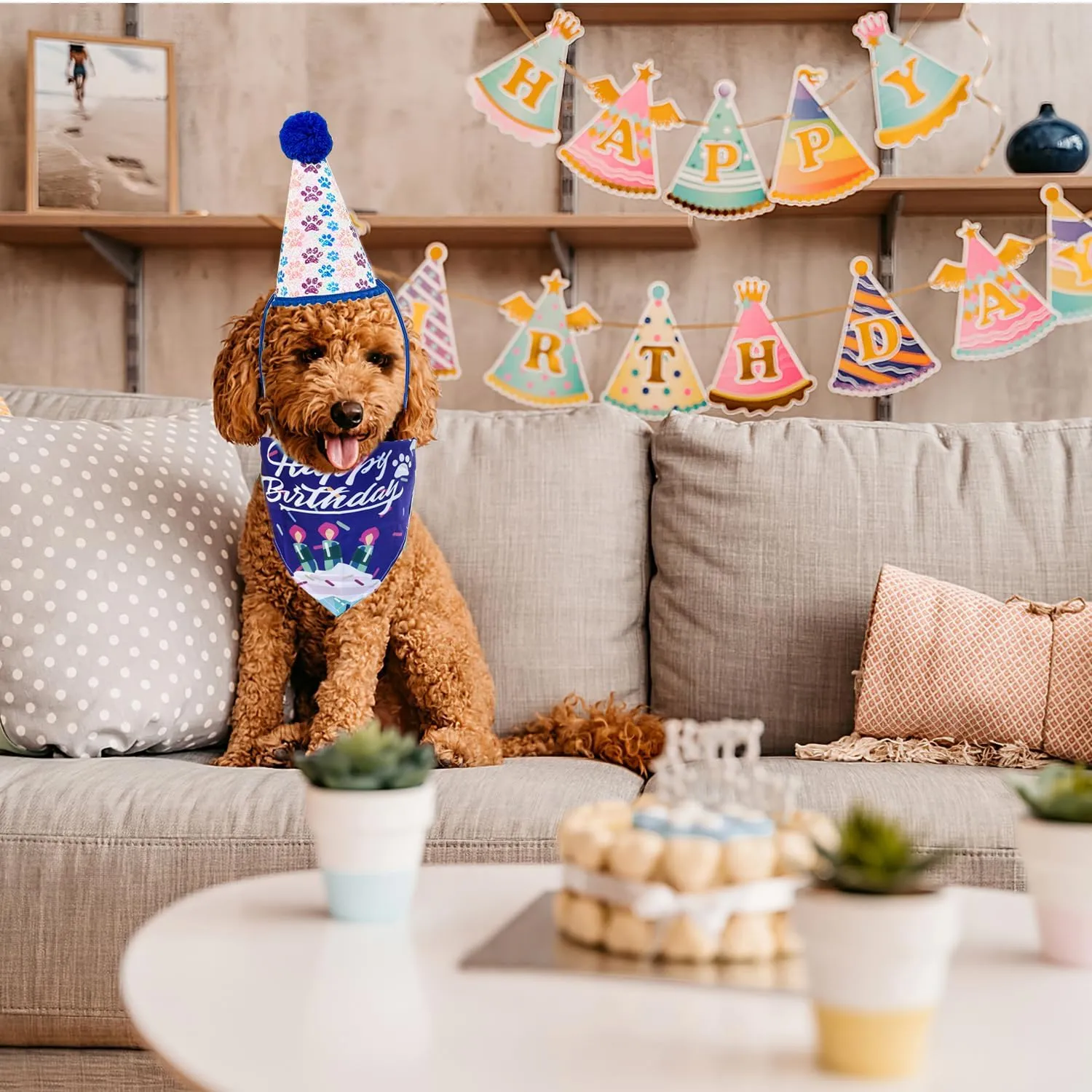 Dog Birthday Bandana Hat with Number Cute Party Supplies Dog Birthday Bandana for Small Medium Large Boy Girl Birthday Banner Blue Pink Pet Birthday Decoration Soft Triangle Scarf
