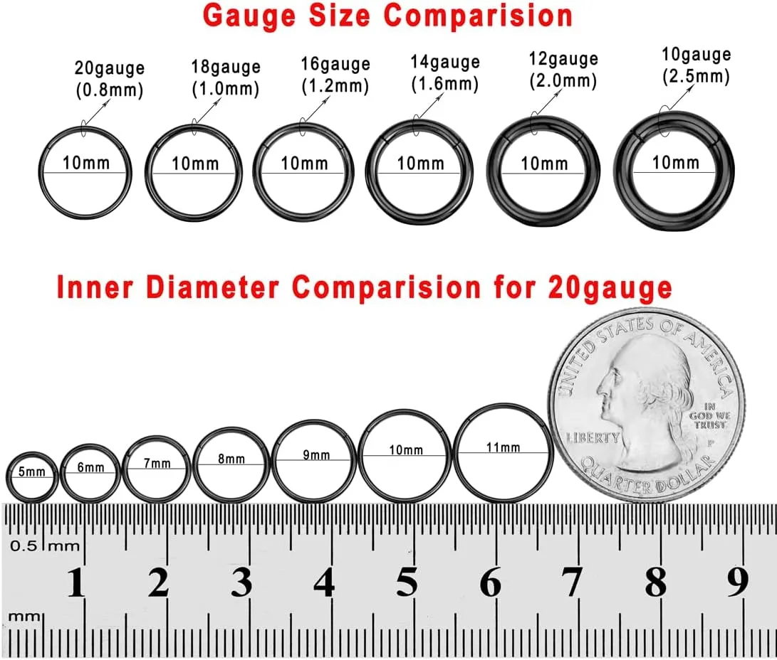FANSING Men Women 316L Surgical Steel Hinged Nose Rings Hoop for Nostril Septum Cartilage Helix Daith Tragus Rook Conch Lip Ear Lobe Piercings